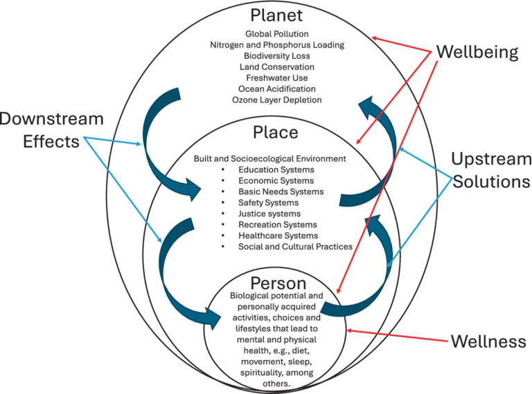 Frontiers | The Okanagan Charter to improve wellbeing in higher education: shifting the paradigm