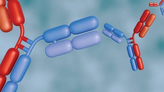 Bispecific antibodies